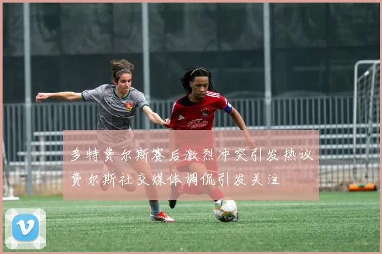 多特费尔斯赛后激烈冲突引发热议费尔斯社交媒体调侃引发关注