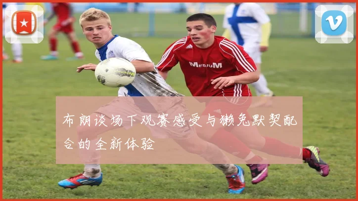 布朗谈场下观赛感受与獭兔默契配合的全新体验